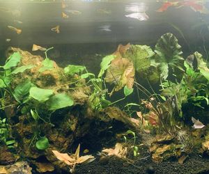 Rozmawiamy z Tomaszem Wiśniewskim, założycielem Aqua Dreams Bydgoszcz