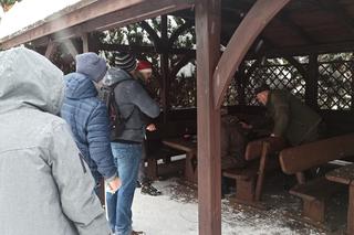 Choinkobranie w Grodźcu. Choinki z lasu od leśniczego