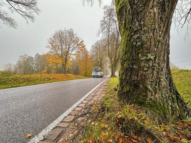 Pancerny Zbyszek" miał furę szczęścia. "Przysnąłem i palnąłem w drzewo"