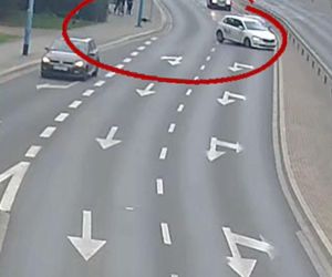Pies wbiegł na ulicę, auta rozbite. Niebezpieczna sytuacja w Legnicy