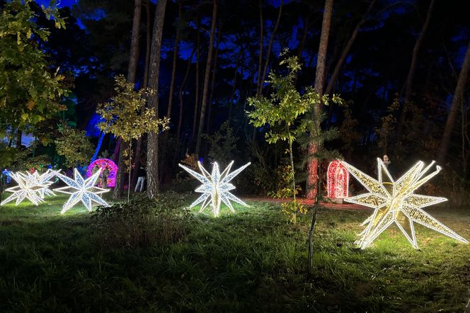 Otwarcie Lumina Parku w Poznaniu. Tegoroczne świecące miasteczko robi fenomenalne wrażenie!