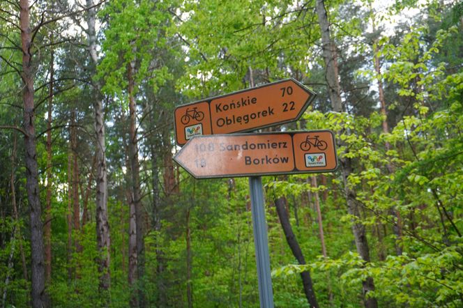 W majówkę ruszyłem rowerem ulicami Kielc! 