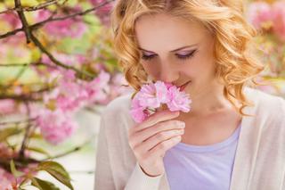 Aromaterapia: zapachy roślin wpływają na nastrój i zdrowie