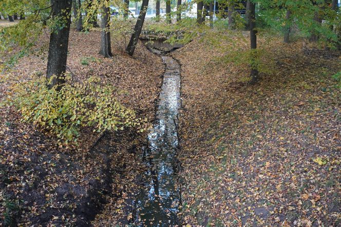 Park Lubomirskich w Białymstoku jesienią 