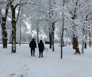 Leszno wygląda bajkowo! Na walentynki sypnęło śniegiem