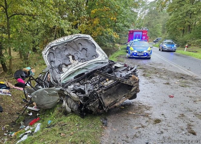 37-letni Słowak zatrzymany na Dolnym Śląsku. Uciekał przed policją