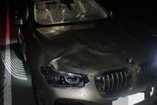 Kierujący bmw dwukrotnie zderzył się z jeleniem