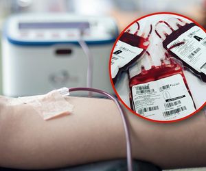 W Polsce przybywa krwiodawców. Kto i gdzie oddaje najwięcej krwi?