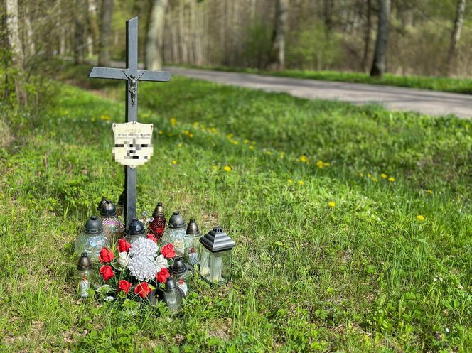 Mroczna tajemnica lasu pod Olsztynem. Bestialski mord konwojentów