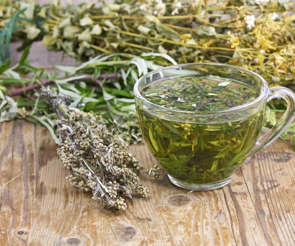 Ten chwast rzeczywiście leczy raka? To skarb wywożony za granicę