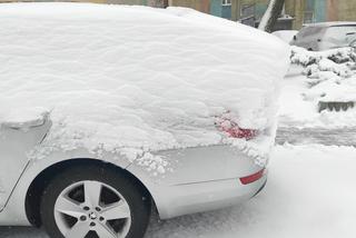 Śnieg, deszcz i słońce. Pogodowy galimatias w Polsce. Ekspertka IMGW mówi, gdzie będzie najgorzej