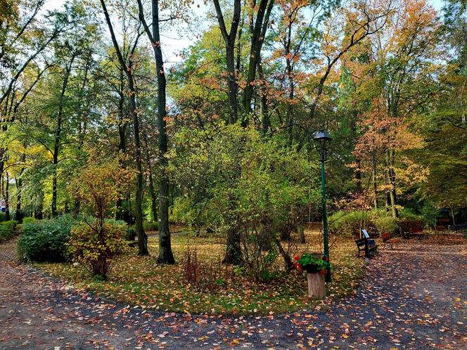 Chodźcie z nami na spacer po Ogrodzie Botanicznym UKW w Bydgoszczy. To ostatnia szansa!