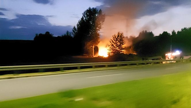 Pożar pustostanu w Rzeszowie [GALERIA]