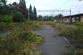 Stacja Szczecin Turzyn
