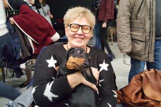 Międzynarodowa Wystawa Psów Rasowych w Bydgoszczy