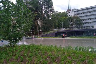 Park centralny w Gdyni. Atrakcje dla dzieci i dorosłych