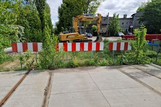 Torowisko tramwajowe na Babiej Wsi w Bydgoszczy zarośnięte chwastami. Tramwaje zniknęły stąd lata temu