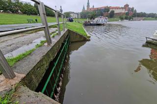 Pod Wawelem odkryto ślady po dużych zrzutach ścieków do Wisły. „Leki, hormony, narkotyki” 