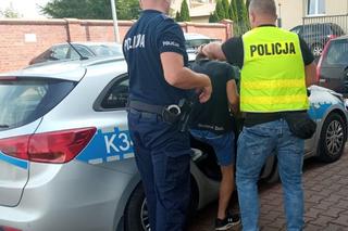 Policjanci zatrzymali mężczyzn uprawiających plantacje marihuany za 2 mln zl