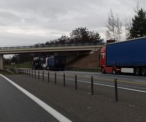 HORROR NA A4 ROZBIŁ RODZINĘ