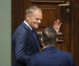 Wszystkie miny Donalda Tuska.