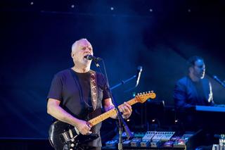 David Gilmour rozmyśla o powrocie Pink Floyd? Muzyk postawił sprawę niezwykle jasno