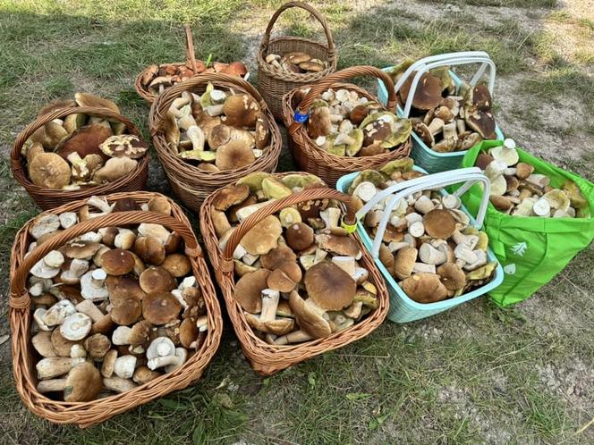 Światowy Dzień Fotografii. Z tych fotek są dumni nasi Czytelnicy! ZOBACZ