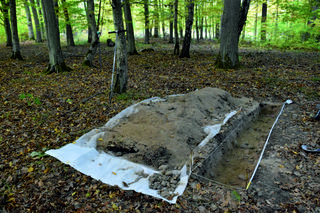 Niezwykłe odkrycie archeologów z UMK w Toruniu!