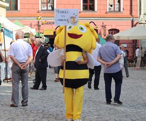 Miasto miodem płynące! Tak świętowali pszczelarze w Lublinie! Zobacz 