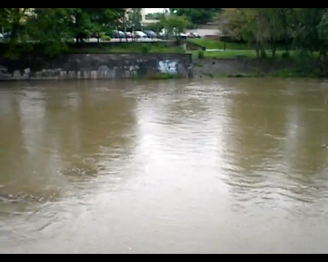 Powódź w Polsce: Odra we Wrocławiu