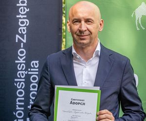 Nowy mieszkaniec w śląskim zoo. Tygrys Tiber już zachwyca odwiedzających 