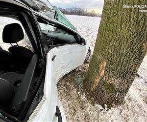 Śląskie: Koszmarny wypadek. 24-latka jechała z dwójką dzieci. Jej auto wbiło się w drzewo. Interweniował LPR