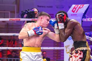 Gala bokserska Białystok Boxing Night