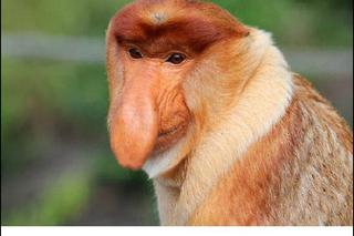 Najlepsze memy o Małopolsce. Wszyscy mieszkańcy dobrze znają to uczucie 