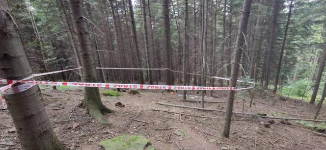SZOKUJĄCY wypadek w Łososinie Dolnej. Paralotniarz spadł na ziemię z dużej wysokości 