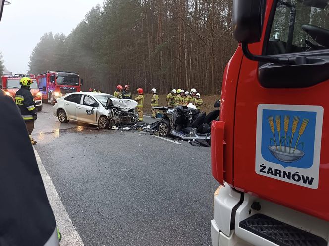 W koszmarnym wypadku na DK74 ucierpiało 6 osób, wśród nich studenci Politechniki Łódzkiej. Pilnie potrzebują krwi