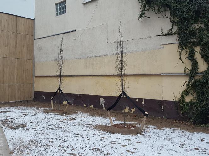 Koniec budowy nowej biblioteki w Lesznie