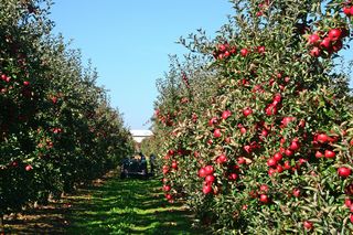 Błędów (woj. mazowieckie)