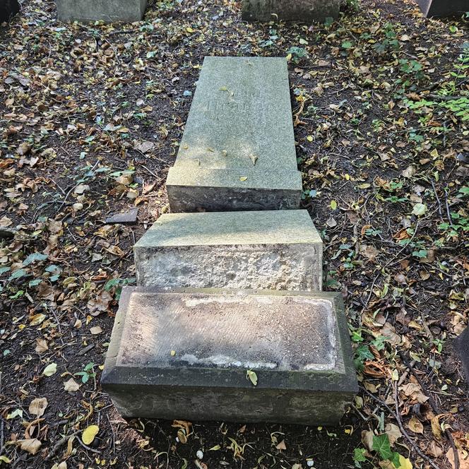 Wandale zdewastowali kilkanaście nagrobków na Cmentarzu Żydowskim w Katowicach