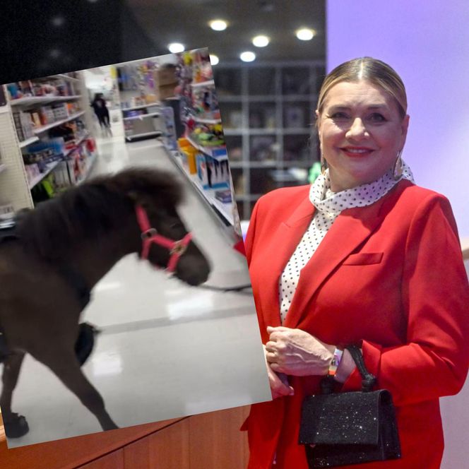 Małgorzata Ostrowska-Królikowska spotkała konia w supermarkecie. Wszystko nagrała!