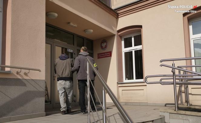 Tarnowskie Góry: W centrum miasta zlikwidowano plantację konopi