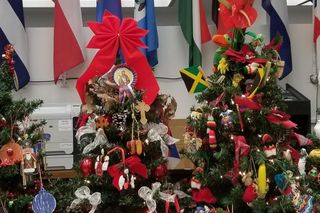 Festiwal choinek u skarbnik Cook County