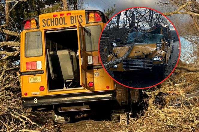 Drzewo runęło na szkolny autobus. 11 osób rannych w New Jersey 