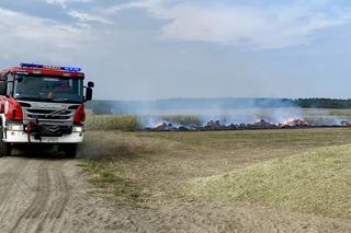 Para podpalaczy grasowała we wsi Tłukomy. Wzniecili trzy pożary! Z dymem poszło 100 tysięcy złotych