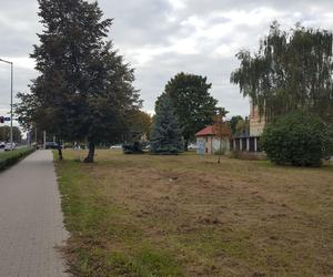 Park Jonstona w Lesznie będzie większy. Zmienić może się nie tylko to miejsce