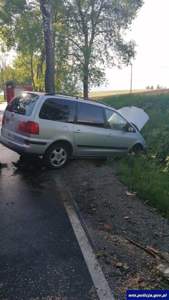 Gałąź spadła na drogę. Kierowca nie zdążył wyhamować. Jedna osoba ranna [ZDJĘCIA]