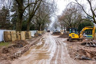 Remont parku Skaryszewskiego w Warszawie na początku marca 2024 r.