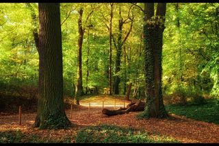 Park Sołacki w jesiennych barwach [ZDJĘCIA]