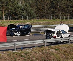 Jeżowe. Śmiertelny wypadek na S-19. Nie żyją kobieta i mężczyzna ze skody [ZDJĘCIA]