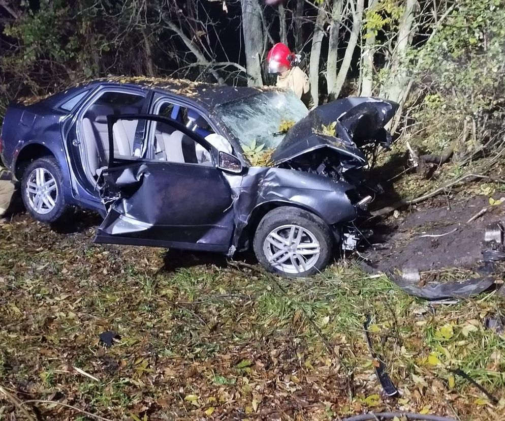 Śmiertelny wypadek koło Bełchatowa. Nie żyje 29-letni kierowca